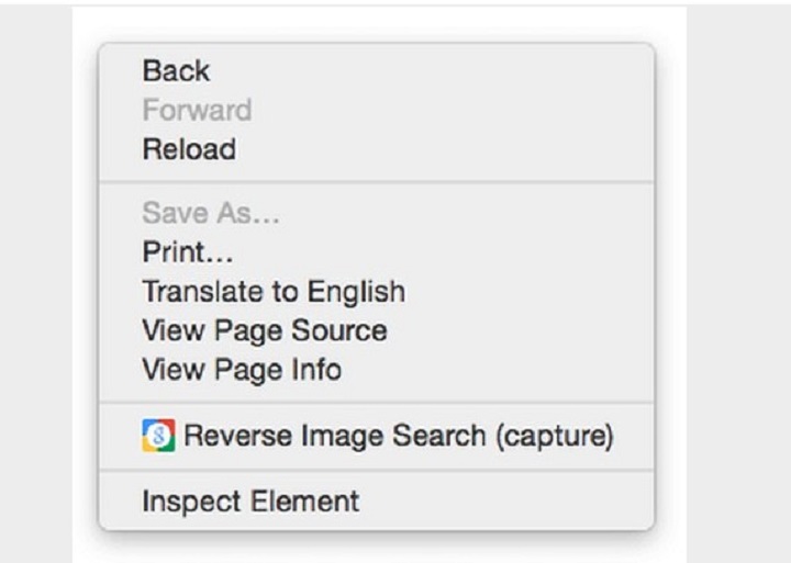 Google Reverse Image Search extension download