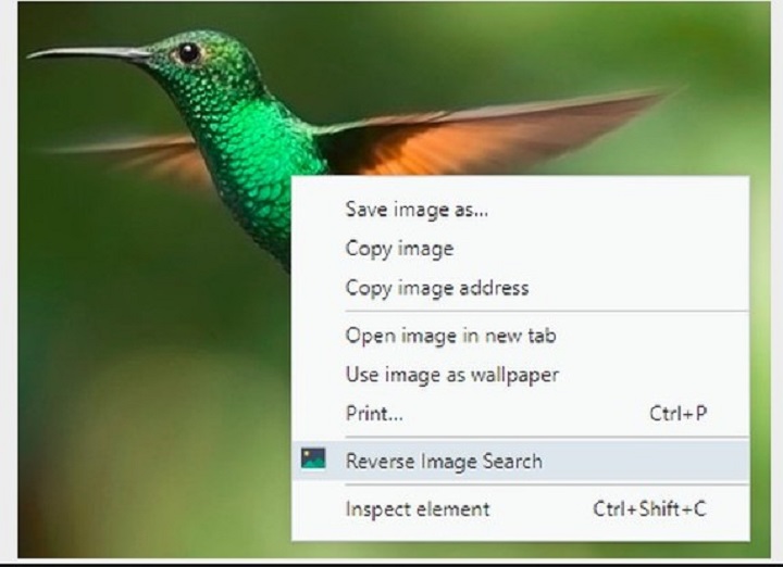Image reverse search extension download