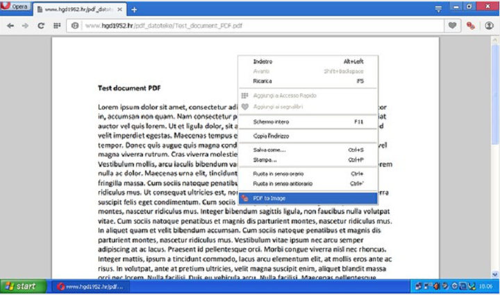 PDF to Image Converter extension 