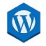 Check Wordpress Version extension download