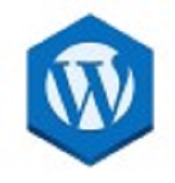 Check WordPress Version extension download