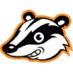 Privacy Badger extension